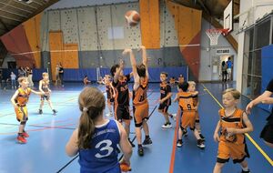 Charente-Maritime : Challenge départemental de basket à Tasdon