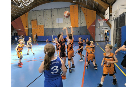 Charente-Maritime : Challenge départemental de basket à Tasdon